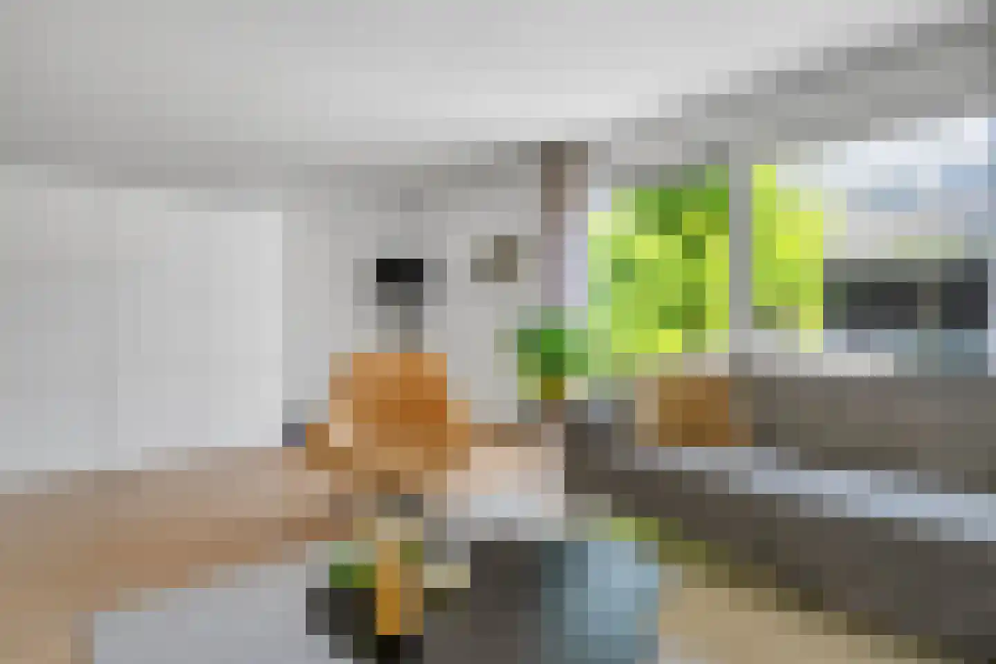 Dublinstraat 8 Hengelo thumbnail 9