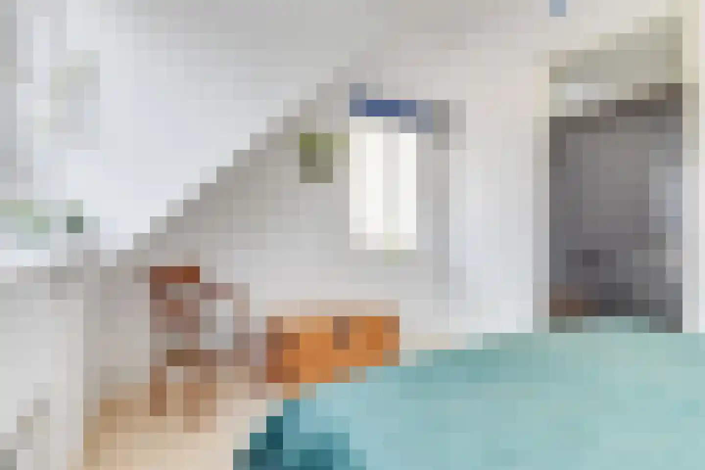 Dubloen 124 Hoorn thumbnail 16