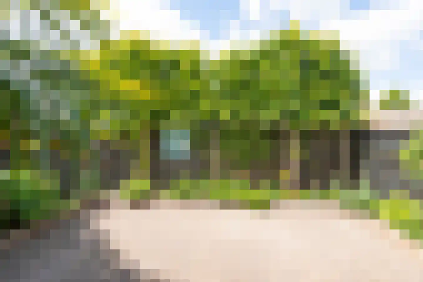 Dubloen 124 Hoorn thumbnail 21