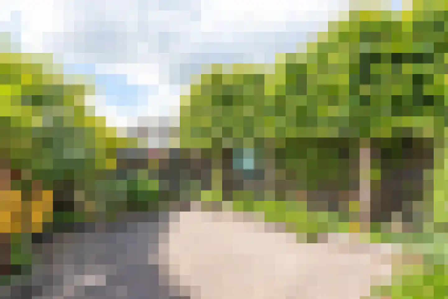Dubloen 124 Hoorn thumbnail 22