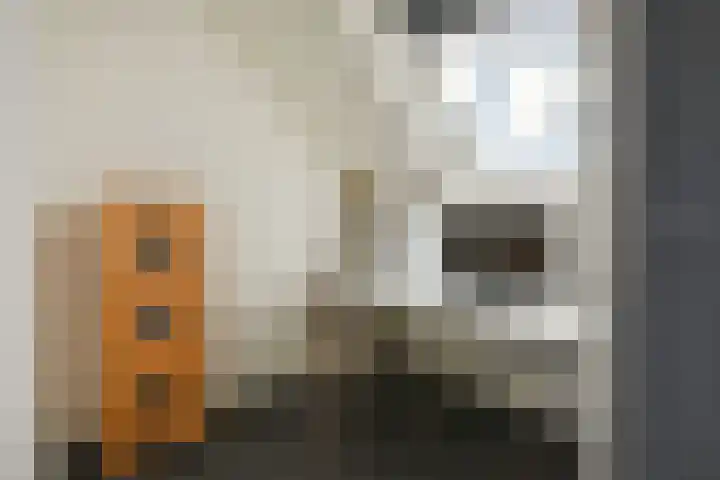 Dubloen 132 Hoorn thumbnail 22