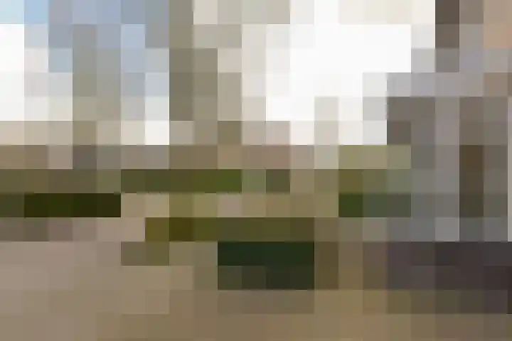 Dubloen 132 Hoorn thumbnail 23