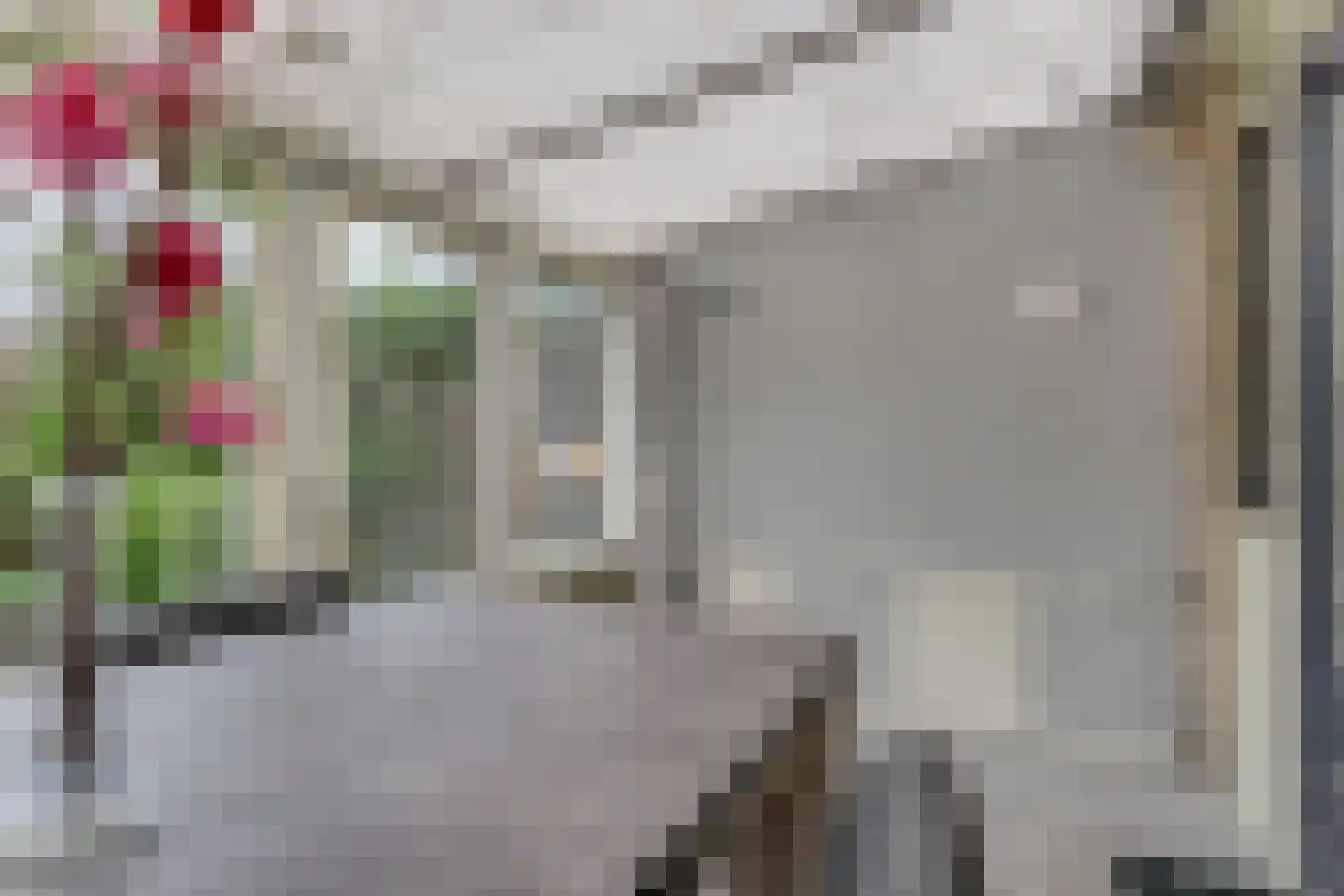 Dubloen 133 Hoorn thumbnail 20