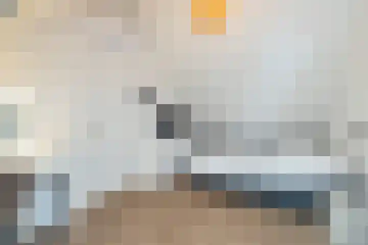 Dubloen 21 Hoorn thumbnail 28