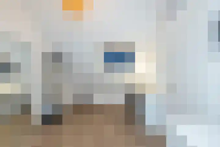 Dubloen 21 Hoorn thumbnail 30