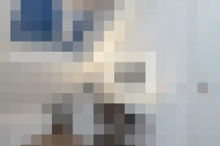 Dubloen 21 Hoorn thumbnail 31