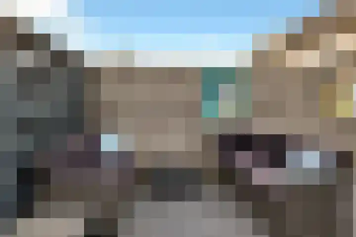 Dubloen 21 Hoorn thumbnail 38
