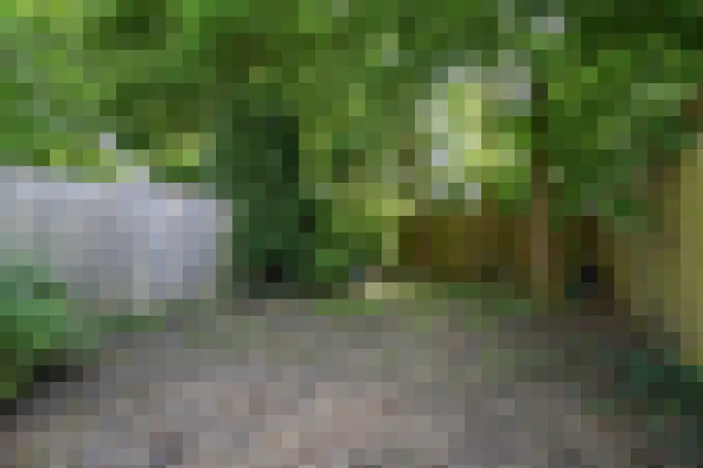 Dubloen 22 Mijdrecht thumbnail 8