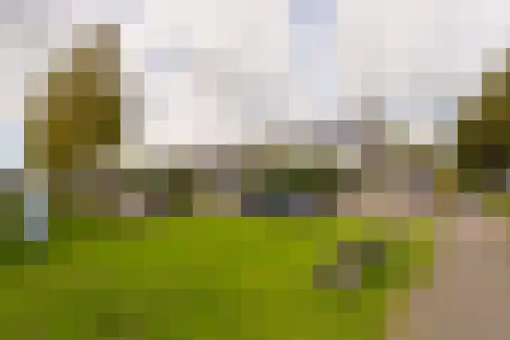 Dubloen 28 Mijdrecht thumbnail 30
