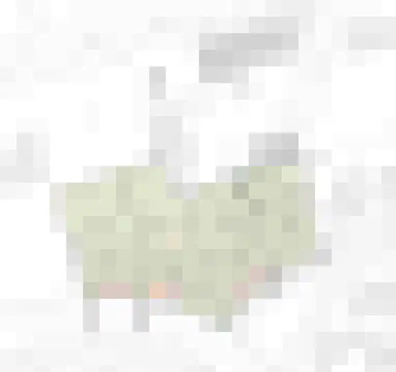Ducaton 3 Uden thumbnail 10