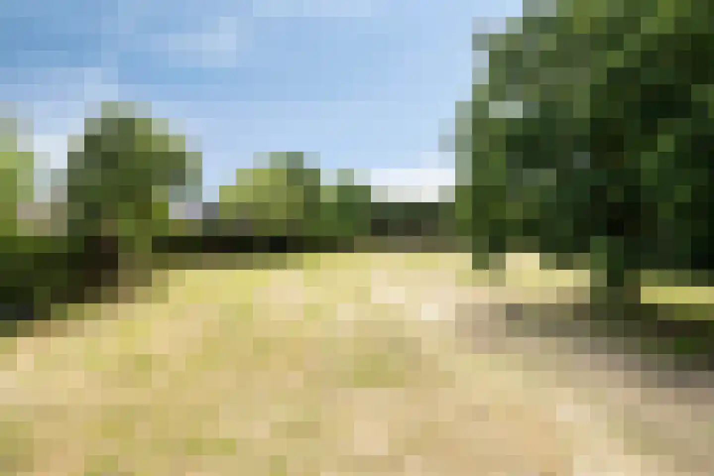 Ducaton 3 Uden thumbnail 4
