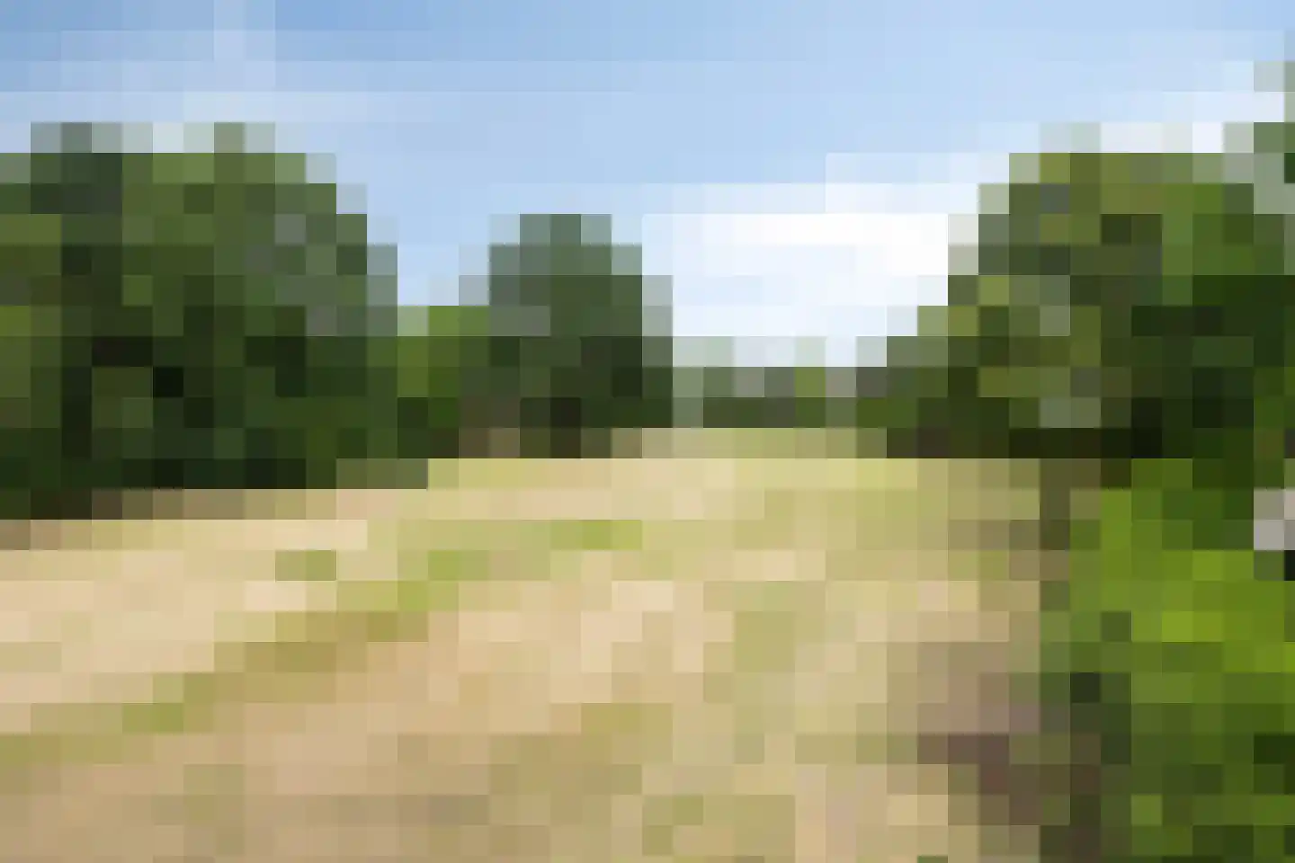 Ducaton 3 Uden thumbnail 6