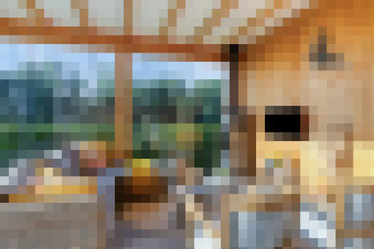 Ducdalf 7 Lemmer thumbnail 55
