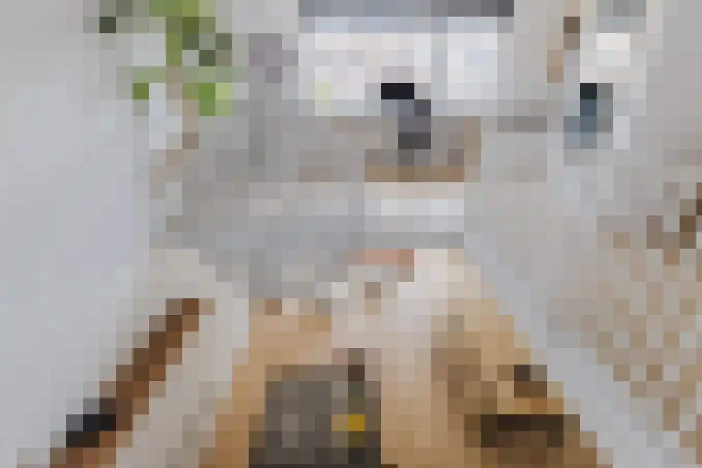 Dudenpark 12 Assendelft thumbnail 25