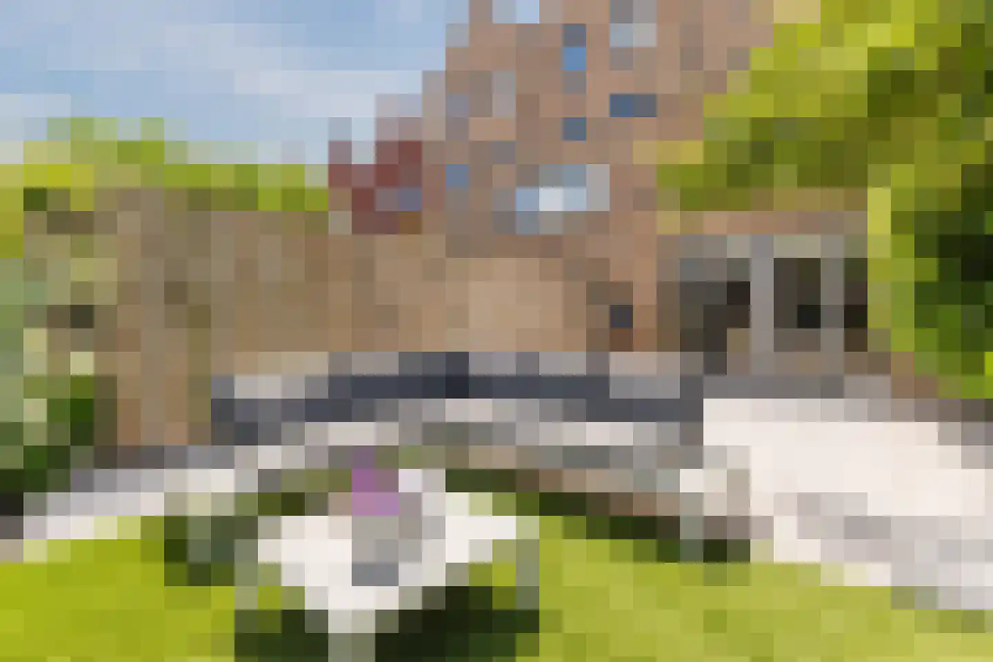 Dudenpark 12 Assendelft thumbnail 49