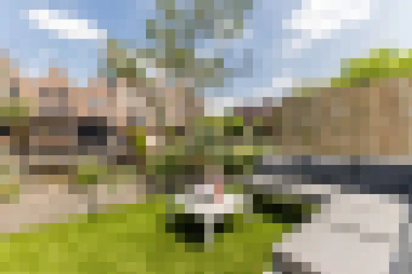 Dudenpark 12 Assendelft thumbnail 5