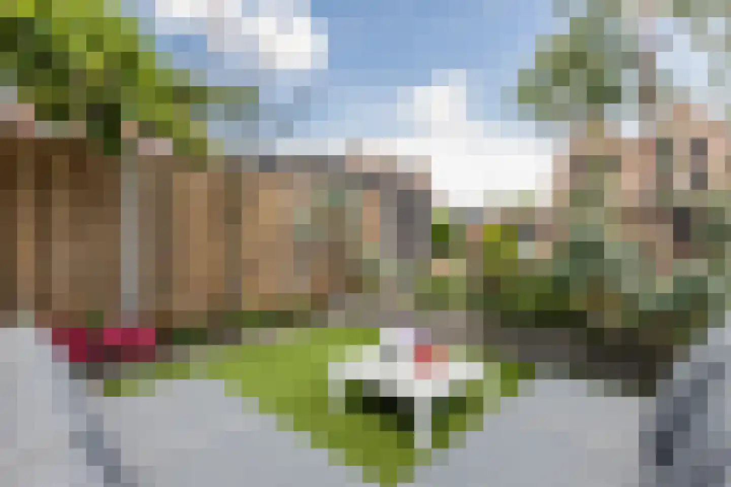 Dudenpark 12 Assendelft thumbnail 50