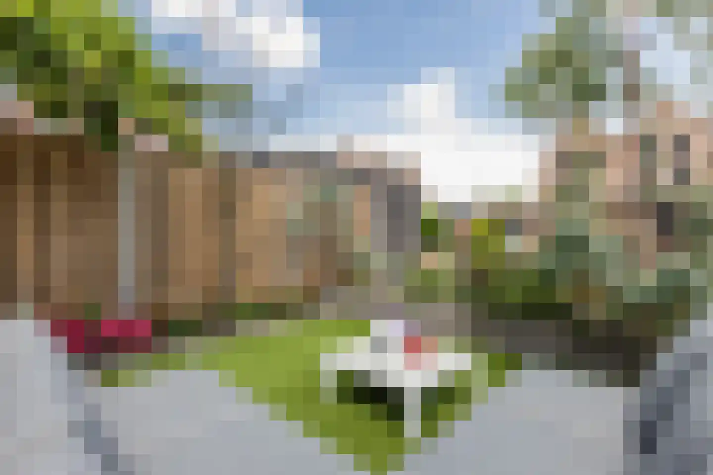 Dudenpark 12 Assendelft thumbnail 52
