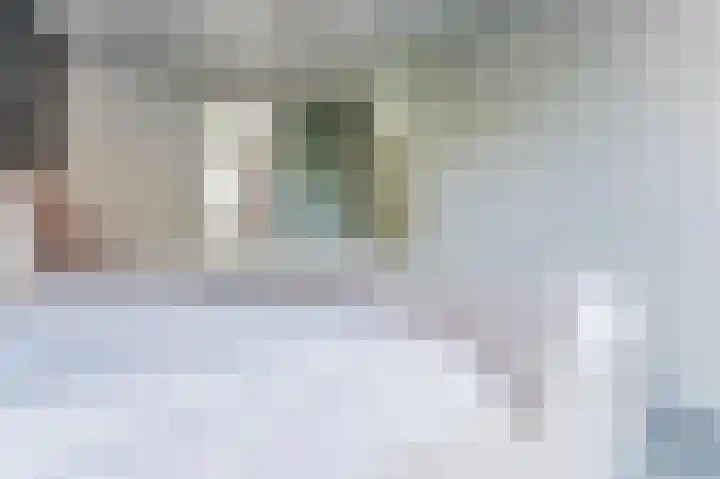 Dudenpark 9 Assendelft thumbnail 14
