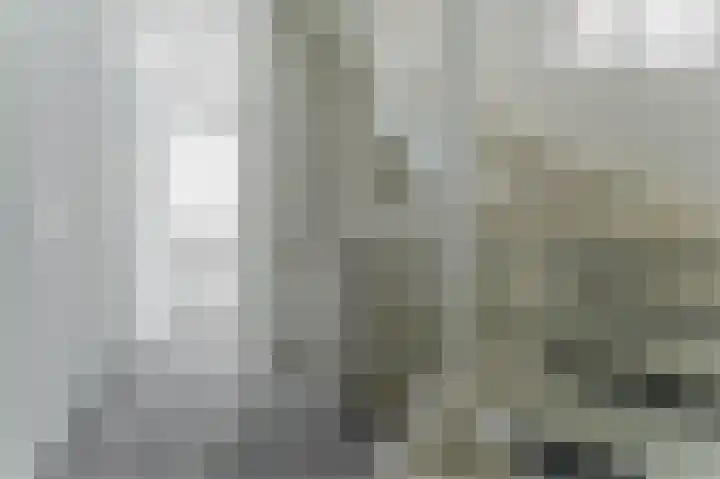 Dudenpark 9 Assendelft thumbnail 27