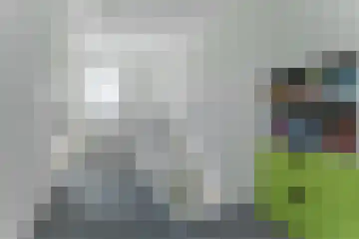 Dudenpark 9 Assendelft thumbnail 30