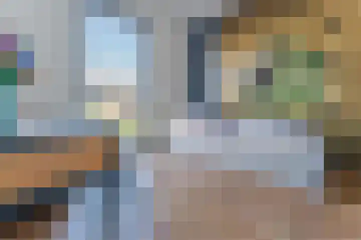 Dudenpark 9 Assendelft thumbnail 35