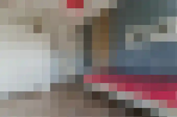 Dudenpark 9 Assendelft thumbnail 37