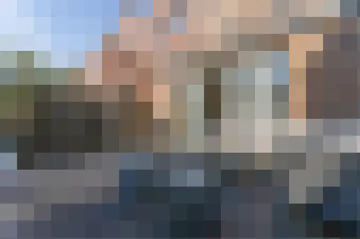 Dudenpark 9 Assendelft thumbnail 39