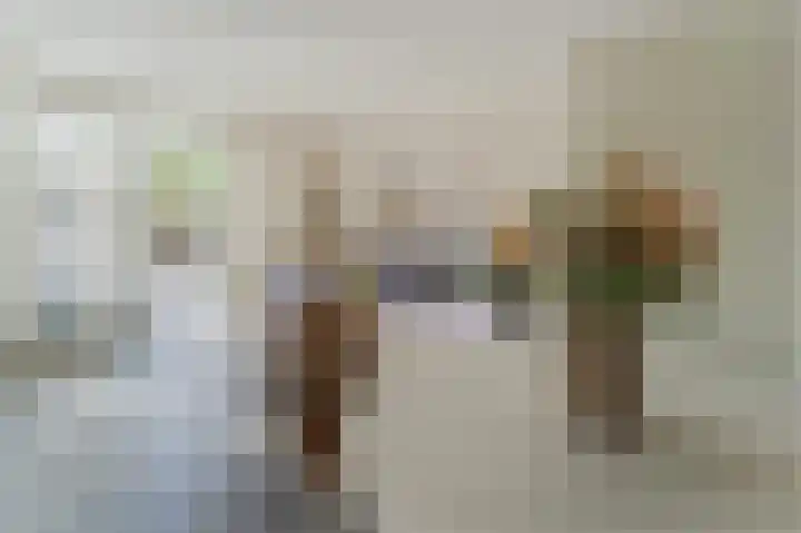 Dudenpark 9 Assendelft thumbnail 5