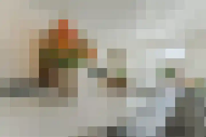 Dudenpark 9 Assendelft thumbnail 6