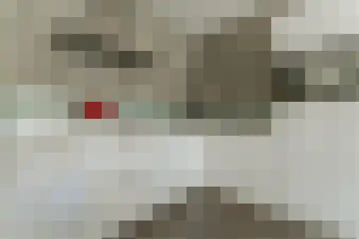 Dudenpark 9 Assendelft thumbnail 7