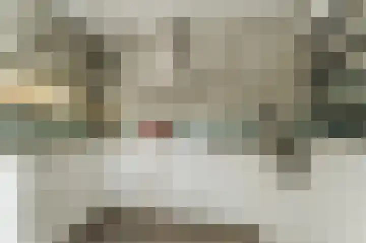 Dudenpark 9 Assendelft thumbnail 8