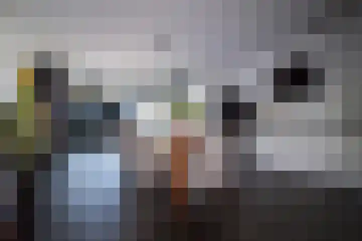 Dudokhof 39 Tilburg thumbnail 10