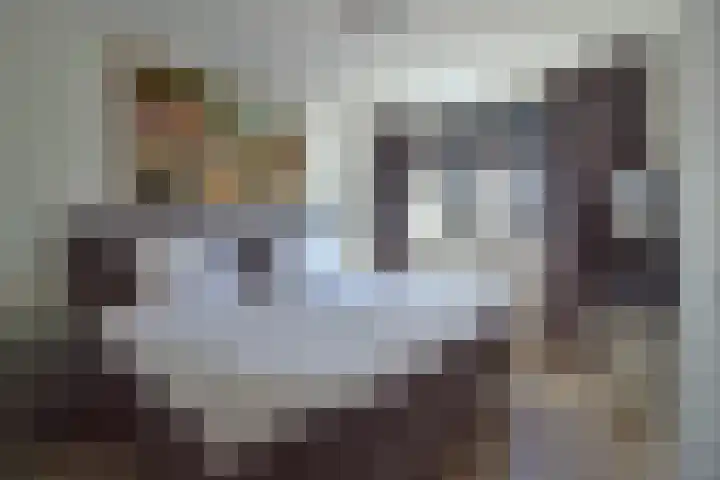 Dudokhof 39 Tilburg thumbnail 16
