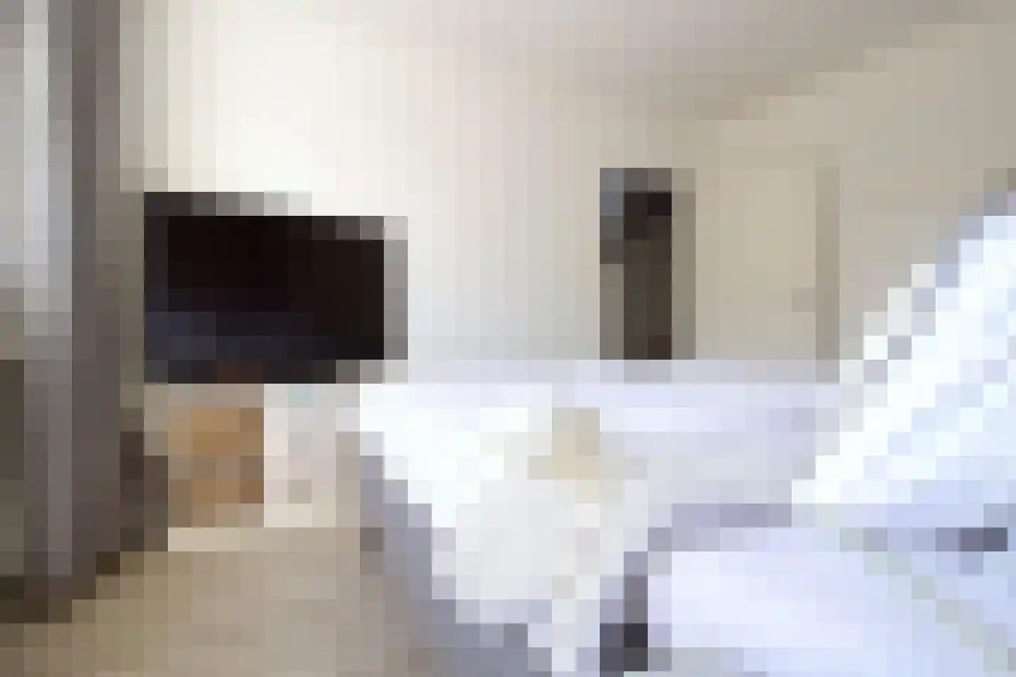 Dudokhof 39 Tilburg thumbnail 17