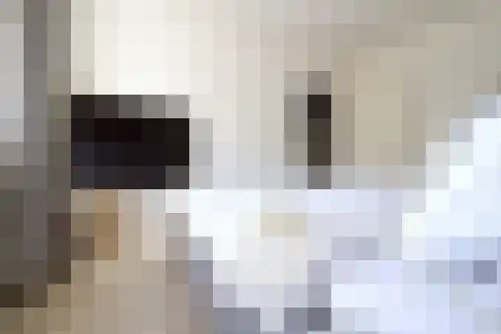 Dudokhof 39 Tilburg thumbnail 17