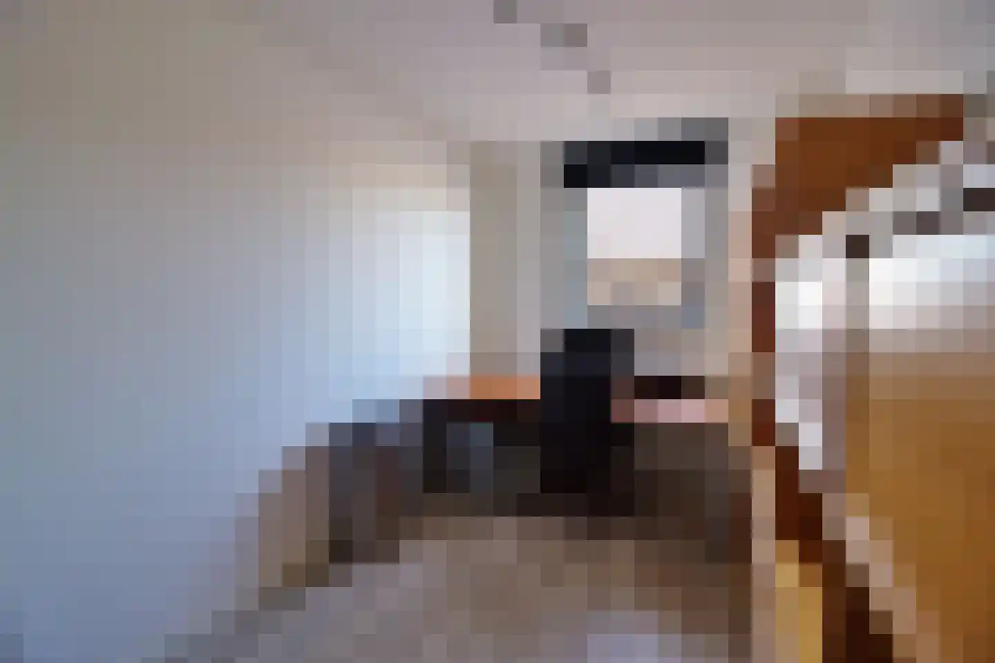 Dudokhof 39 Tilburg thumbnail 18