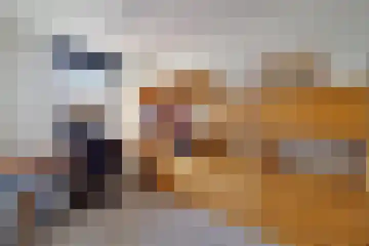 Dudokhof 39 Tilburg thumbnail 19