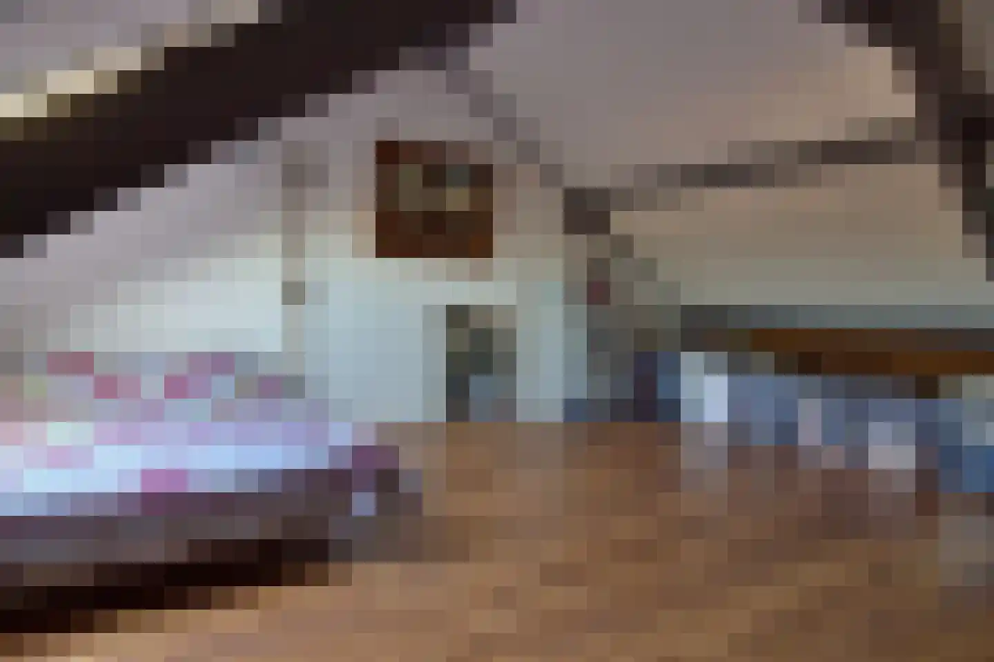 Dudokhof 39 Tilburg thumbnail 28