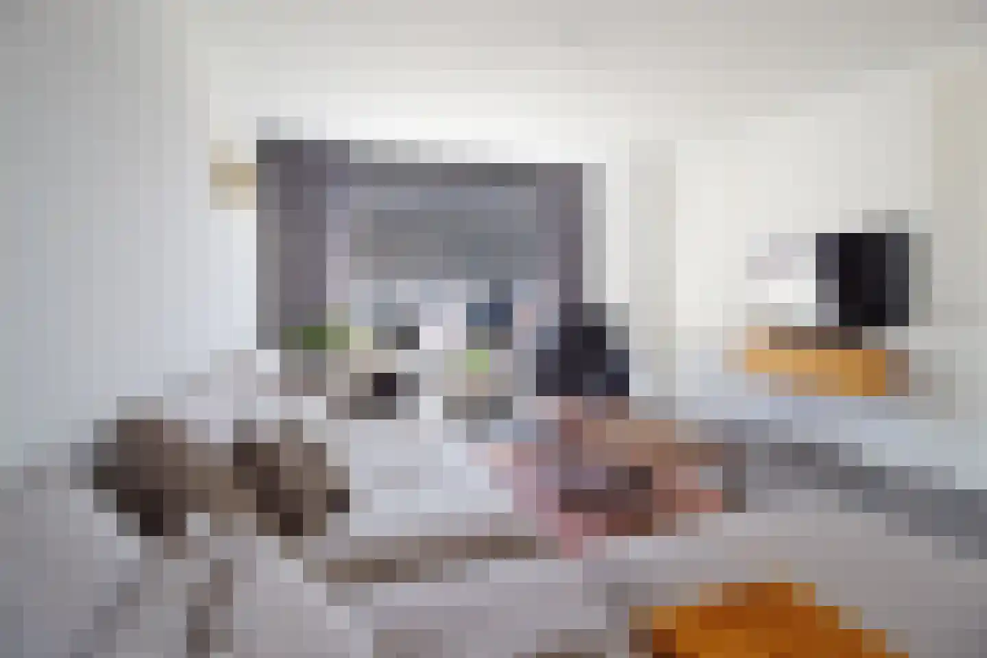 Dudokhof 39 Tilburg thumbnail 8