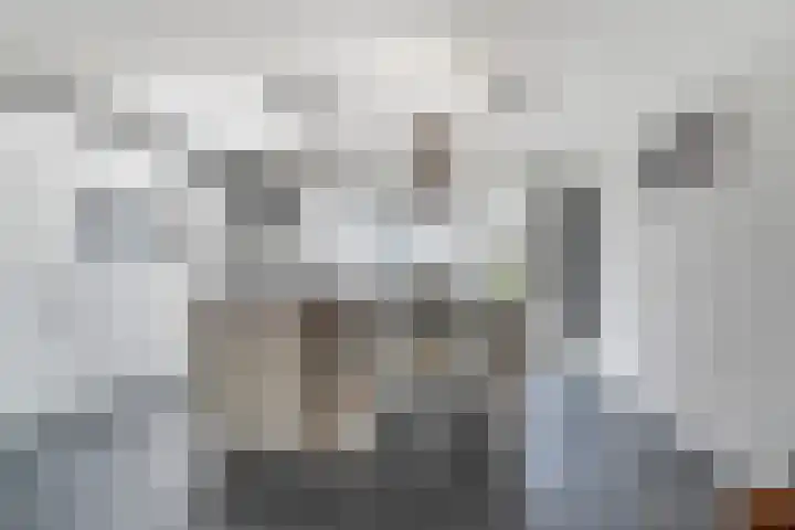 Dudokhof 40 Tilburg thumbnail 11