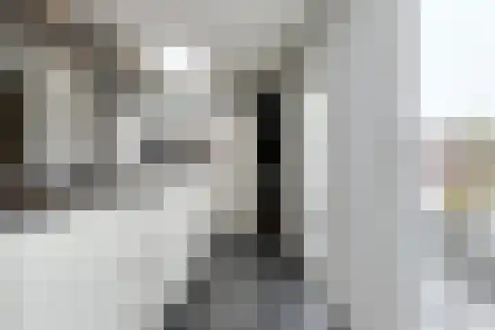 Dudokhof 40 Tilburg thumbnail 13