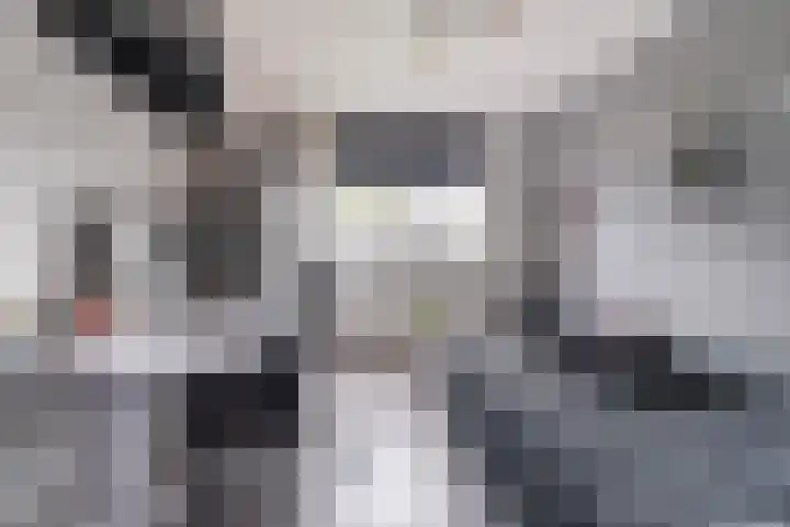 Dudokhof 40 Tilburg thumbnail 25