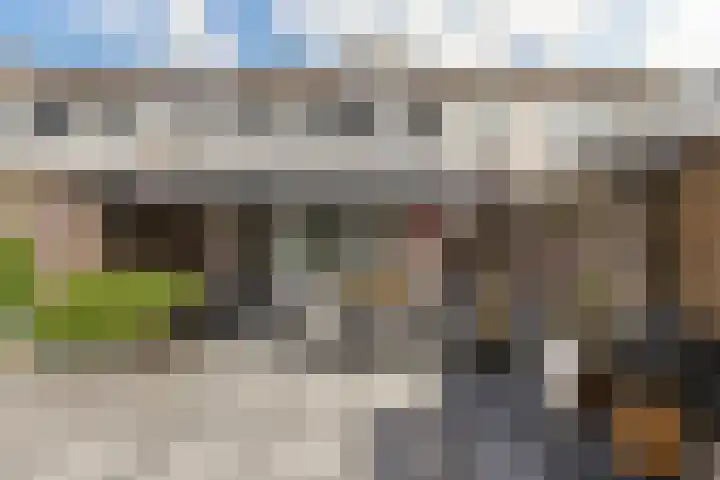 Dudokhof 40 Tilburg thumbnail 37