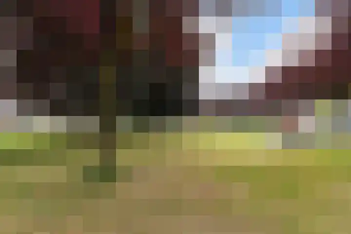 Dudokhof 40 Tilburg thumbnail 40