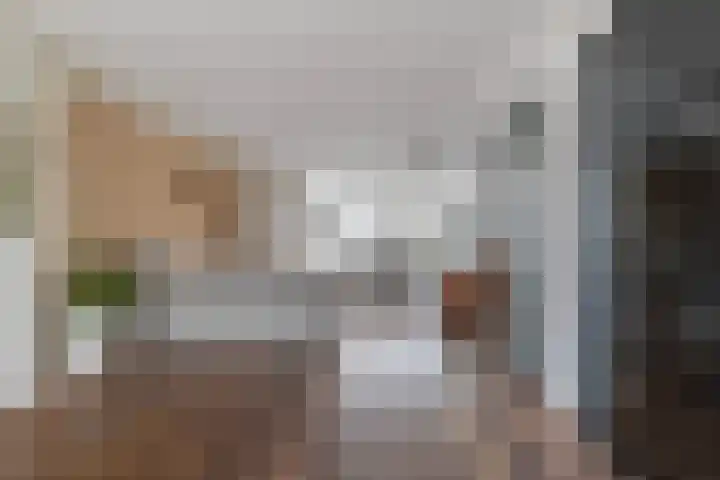 Dudokhof 40 Tilburg thumbnail 5