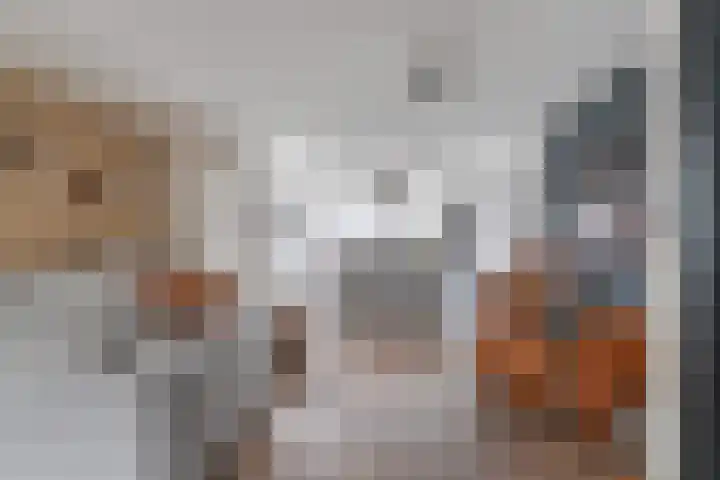 Dudokhof 40 Tilburg thumbnail 6