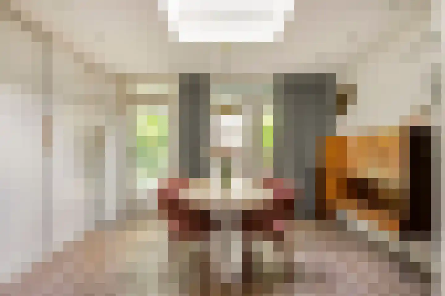 Dudokhof 50 Tilburg thumbnail 12