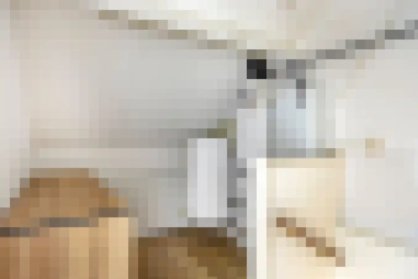 Dudokhof 50 Tilburg thumbnail 26