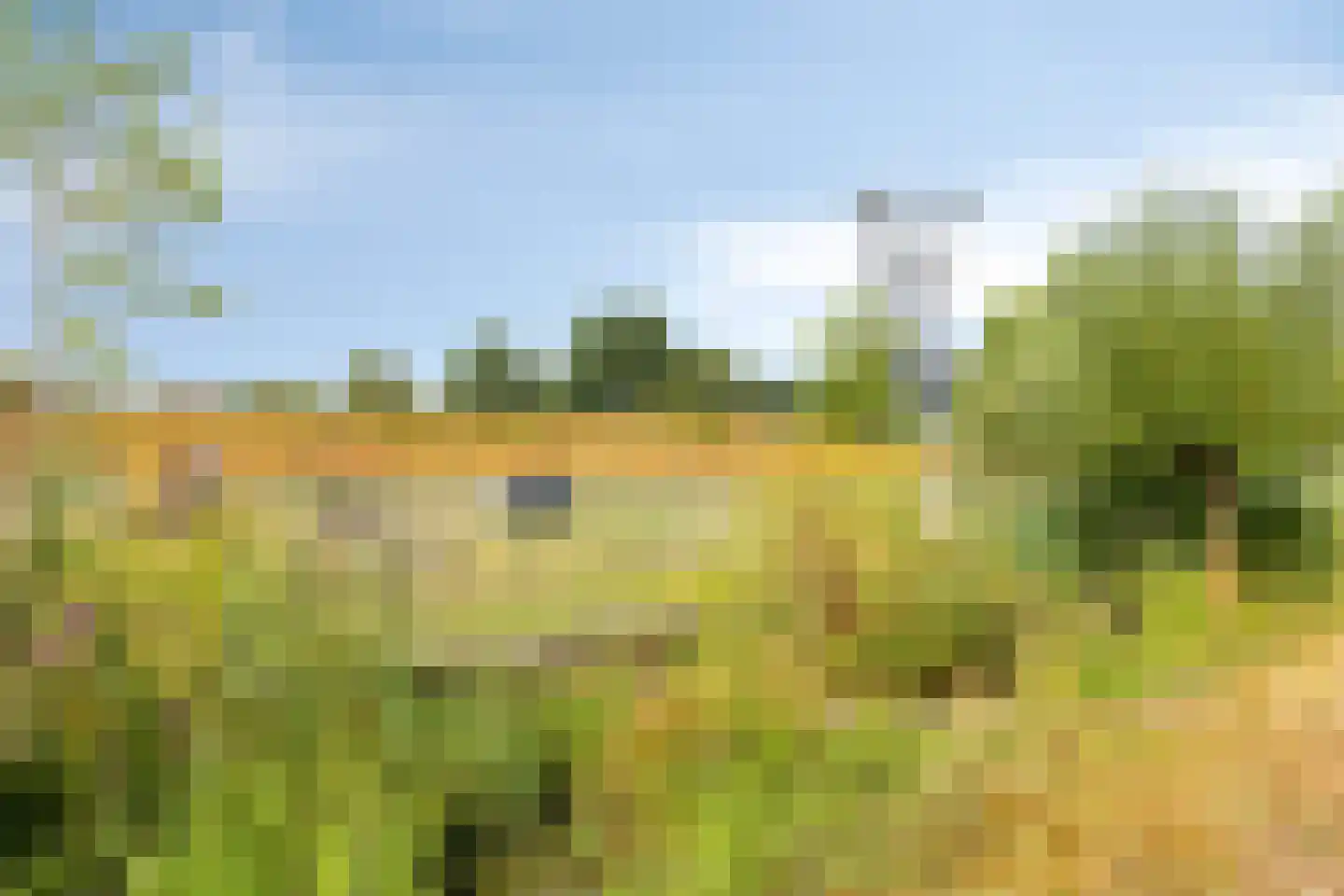 Dudokhof 50 Tilburg thumbnail 44